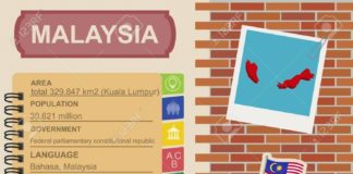 Statistics infographic : Stock Vector