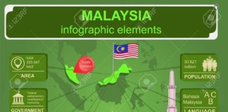 Statistics infographic : Stock Vector