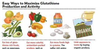 Health infographic : Glutathione: The Great Protector