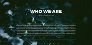 Statistics infographic : Pitch Deck #Ad #Pitch, #AFFILIATE, #Deck