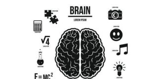 Medical infographic : Medical infographic : Human brain infographics set. Medical Infographic. $5.00