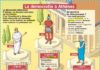 Science infographic – Educational infographic : Fiche exposés : La démocratie à Athènes…