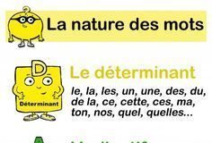 Educational infographic :