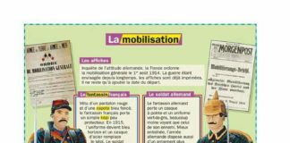 Educational infographic :