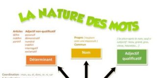 Educational infographic : La nature des mots