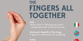 Educational infographic : Worldly Body Language Infographics