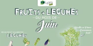 Food infographic –