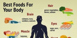 Health infographic : The best Foods For Your Body – Healthy Diet Vs Unhealthy Diet