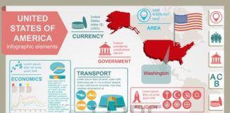 Statistics infographic : Stock Vector