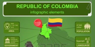 Statistics infographic : Stock Vector