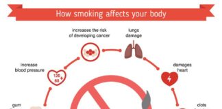 Healthcare infographic : Health and healthcare infographic health and Vector Image