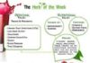 Health infographic : The Herb Of The Week – Cranberry. Medicinal value – Treats prevents – UITs, Lo…