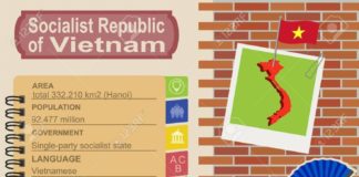 Statistics infographic : Stock Photo