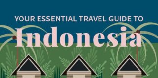 Travel infographic – Your Essential Travel Guide to Indonesia (Infographic)