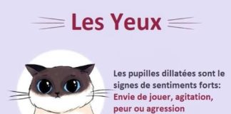 Educational infographic :