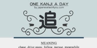 Educational infographic : Learn one Kanji a day with infographic: 追 (tsui)