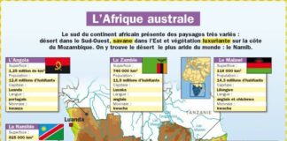 Science infographic – Educational infographic : Fiche exposés : L’Afrique australe…