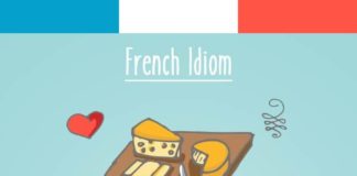 Educational infographic : 25 Funny French Idioms Translated Literally