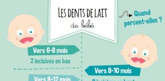 Educational infographic : Infographies : les différentes étapes de bébé
