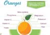 Food infographic – Infographic with nutritional facts for fruits on a white base….