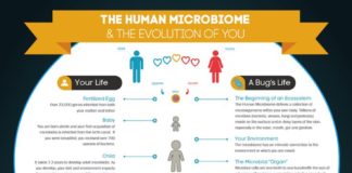 Health infographic : Why Everything We Were Taught About Digestion, Metabolism & Immunity Is Wrong (Infographic)