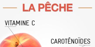 Food infographic –