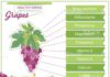 Food infographic – Infographic with nutritional facts for fruits on a white base….