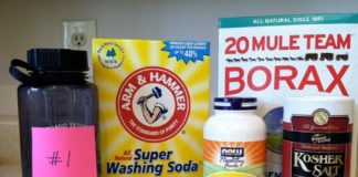 Healthcare infographic : Do-It-Yourself Experiment #4: Homemade Powdered Laundry Soap