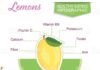 Food infographic – Infographic with nutritional facts for fruits on a white base….