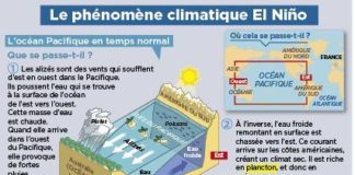 Science infographic –