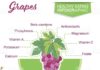Food infographic – Infographic with nutritional facts for fruits on a white base….