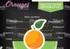 Food infographic – Infographic with nutritional facts for fruits on a blackboard base….