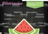 Food infographic – Infographic with nutritional facts for fruits on a blackboard base….