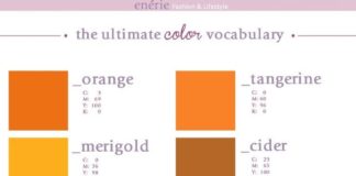 Fashion infographic : An Affordable Way To Update Your Style