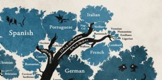 Educational infographic :