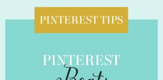 Social media infographic – Pinterest Management Services expert on using Pinterest to drive traffic