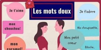 Educational infographic :