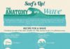 Travel infographic – Surf’s Up! The Anatomy of a Wave Infographic