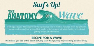 Travel infographic – Surf’s Up! The Anatomy of a Wave Infographic