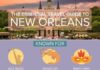 Travel infographic – The Essential Travel Guide to New Orleans (Infographic)