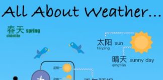 Educational infographic :