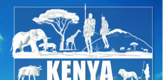 Travel infographic –