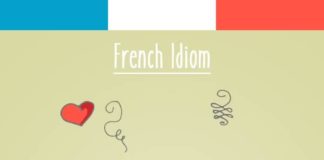 Educational infographic : 25 Funny French Idioms Translated Literally