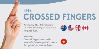 Educational infographic : Worldly Body Language Infographics