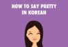 Educational infographic : Korean Language Infographics | Learn Basic Korean Vocabulary & Phrases with Dom …