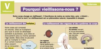 Educational infographic :