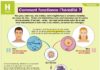 Science infographic – Educational infographic : Mon Quotidien, le seul journal d’actualité pour les enfants de 10-14 an…