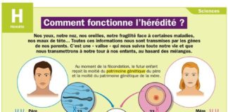 Science infographic – Educational infographic : Mon Quotidien, le seul journal d’actualité pour les enfants de 10-14 an…