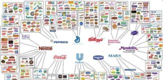 Food infographic – Food infographic – Food infographic Food infographic Food infographic Only 10 companies control