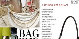 Fashion infographic : These are 2019 the most Stylish Bags!